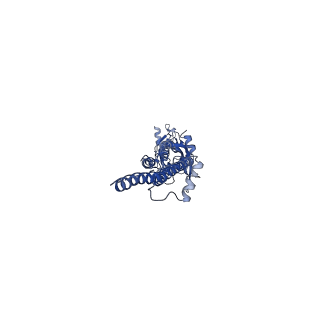 31168_7eki_E_v1-1
human alpha 7 nicotinic acetylcholine receptor in apo-form