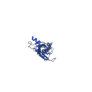 31176_7ekt_C_v1-1
human alpha 7 nicotinic acetylcholine receptor bound to EVP-6124 and PNU-120596