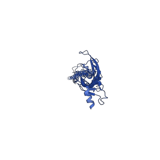 31176_7ekt_E_v1-1
human alpha 7 nicotinic acetylcholine receptor bound to EVP-6124 and PNU-120596