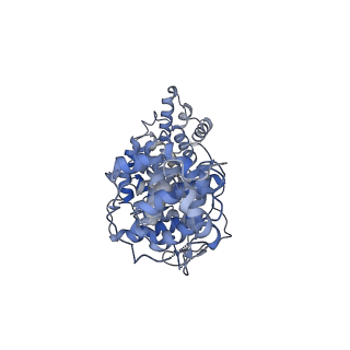 28223_8el7_B_v1-2
CryoEM structure of Resistance to Inhibitors of Cholinesterase-8B (Ric-8B) in complex with G alpha s