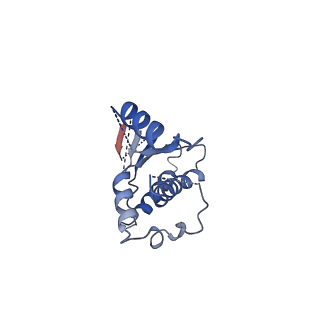 28224_8el8_A_v1-2
CryoEM structure of Resistance to Inhibitors of Cholinesterase-8B (Ric-8B) in complex with olfactory G protein alpha olf