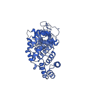 28224_8el8_B_v1-2
CryoEM structure of Resistance to Inhibitors of Cholinesterase-8B (Ric-8B) in complex with olfactory G protein alpha olf