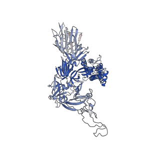 28228_8elj_A_v1-1
SARS-CoV-2 spike glycoprotein in complex with the ICO-hu23 neutralizing antibody Fab fragment