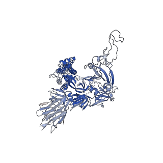 28228_8elj_B_v1-1
SARS-CoV-2 spike glycoprotein in complex with the ICO-hu23 neutralizing antibody Fab fragment