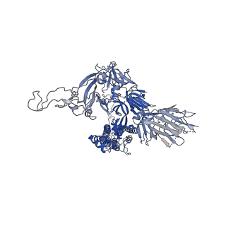28228_8elj_C_v1-1
SARS-CoV-2 spike glycoprotein in complex with the ICO-hu23 neutralizing antibody Fab fragment