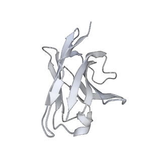 28228_8elj_U_v1-1
SARS-CoV-2 spike glycoprotein in complex with the ICO-hu23 neutralizing antibody Fab fragment