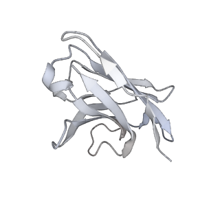 28228_8elj_W_v1-1
SARS-CoV-2 spike glycoprotein in complex with the ICO-hu23 neutralizing antibody Fab fragment