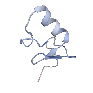 31177_7el9_E_v1-2
Structure of Machupo virus L polymerase in complex with Z protein and 3'-vRNA (dimeric complex)