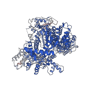 31178_7ela_A_v1-2
Structure of Lassa virus polymerase in complex with 3'-vRNA and Z mutant (F36A)