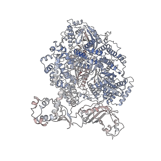 31179_7elb_A_v1-2
Structure of Machupo virus L polymerase in complex with Z protein (dimeric form)