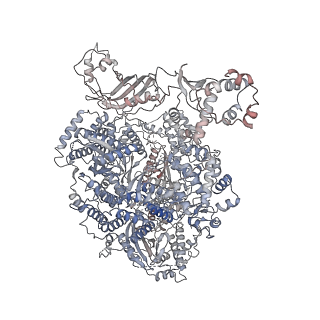 31179_7elb_C_v1-2
Structure of Machupo virus L polymerase in complex with Z protein (dimeric form)