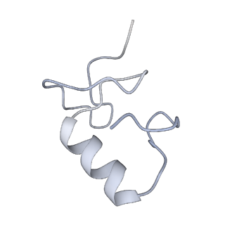 31179_7elb_D_v1-2
Structure of Machupo virus L polymerase in complex with Z protein (dimeric form)
