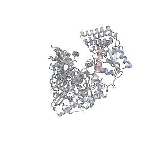 31181_7eld_A_v1-1
Cryo-EM structure of Arabidopsis DCL1 in complex with pri-miRNA 166f