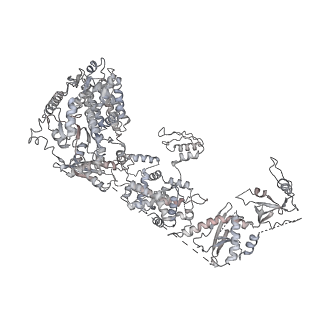31182_7ele_A_v1-1
Cryo-EM structure of Arabidopsis DCL1 in complex with pre-miRNA 166f