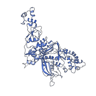 31183_7elh_A_v1-0
In situ structure of transcriptional enzyme complex and capsid shell protein of mammalian reovirus at initiation state
