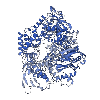 31183_7elh_B_v1-0
In situ structure of transcriptional enzyme complex and capsid shell protein of mammalian reovirus at initiation state