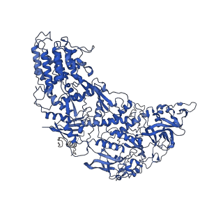 31183_7elh_E_v1-0
In situ structure of transcriptional enzyme complex and capsid shell protein of mammalian reovirus at initiation state