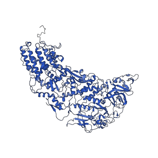 31183_7elh_F_v1-0
In situ structure of transcriptional enzyme complex and capsid shell protein of mammalian reovirus at initiation state