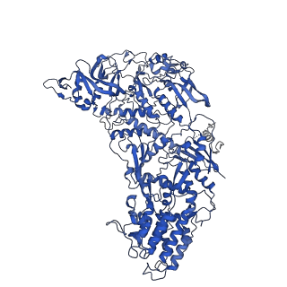 31183_7elh_I_v1-0
In situ structure of transcriptional enzyme complex and capsid shell protein of mammalian reovirus at initiation state