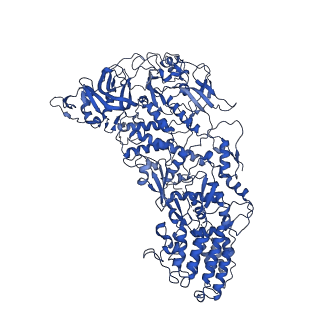 31183_7elh_J_v1-0
In situ structure of transcriptional enzyme complex and capsid shell protein of mammalian reovirus at initiation state