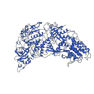 31183_7elh_K_v1-0
In situ structure of transcriptional enzyme complex and capsid shell protein of mammalian reovirus at initiation state
