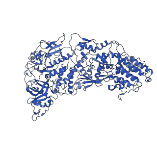 31183_7elh_L_v1-0
In situ structure of transcriptional enzyme complex and capsid shell protein of mammalian reovirus at initiation state