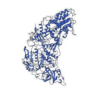 31183_7elh_M_v1-0
In situ structure of transcriptional enzyme complex and capsid shell protein of mammalian reovirus at initiation state