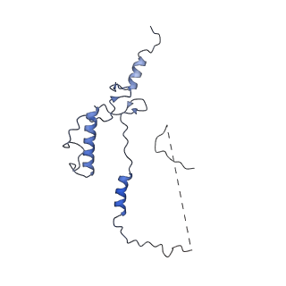 31183_7elh_g_v1-0
In situ structure of transcriptional enzyme complex and capsid shell protein of mammalian reovirus at initiation state