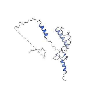 31183_7elh_m_v1-0
In situ structure of transcriptional enzyme complex and capsid shell protein of mammalian reovirus at initiation state