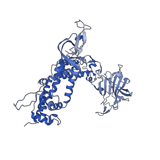 31184_7ell_a_v1-0
In situ structure of capping enzyme lambda2, penetration protein mu1 of mammalian reovirus capsid asymmetric unit.