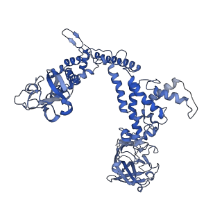 31184_7ell_b_v1-0
In situ structure of capping enzyme lambda2, penetration protein mu1 of mammalian reovirus capsid asymmetric unit.
