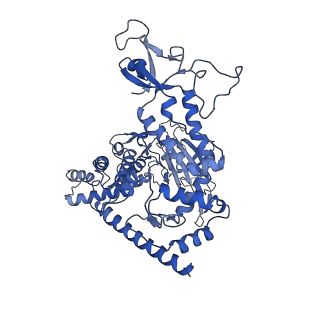 31184_7ell_d_v1-0
In situ structure of capping enzyme lambda2, penetration protein mu1 of mammalian reovirus capsid asymmetric unit.
