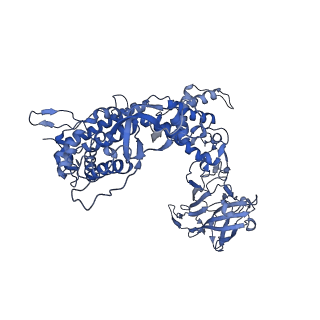 31184_7ell_e_v1-0
In situ structure of capping enzyme lambda2, penetration protein mu1 of mammalian reovirus capsid asymmetric unit.
