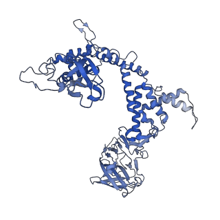31184_7ell_g_v1-0
In situ structure of capping enzyme lambda2, penetration protein mu1 of mammalian reovirus capsid asymmetric unit.