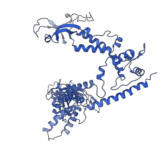 31184_7ell_h_v1-0
In situ structure of capping enzyme lambda2, penetration protein mu1 of mammalian reovirus capsid asymmetric unit.