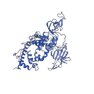 31184_7ell_i_v1-0
In situ structure of capping enzyme lambda2, penetration protein mu1 of mammalian reovirus capsid asymmetric unit.