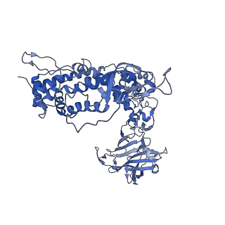 31184_7ell_j_v1-0
In situ structure of capping enzyme lambda2, penetration protein mu1 of mammalian reovirus capsid asymmetric unit.
