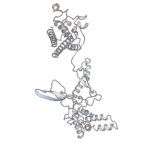 31185_7elm_A_v1-1
Structure of Csy-AcrIF24