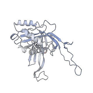 31185_7elm_B_v1-1
Structure of Csy-AcrIF24