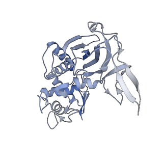 31185_7elm_C_v1-1
Structure of Csy-AcrIF24