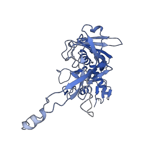 31185_7elm_D_v1-1
Structure of Csy-AcrIF24