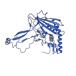 31185_7elm_E_v1-1
Structure of Csy-AcrIF24