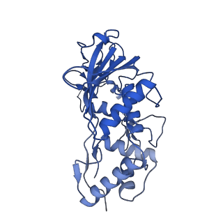 31185_7elm_G_v1-1
Structure of Csy-AcrIF24