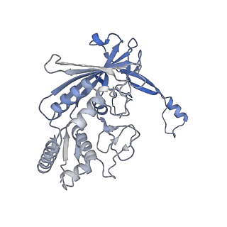 31185_7elm_H_v1-1
Structure of Csy-AcrIF24