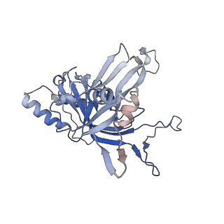 31185_7elm_L_v1-1
Structure of Csy-AcrIF24