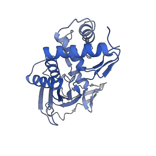 31185_7elm_M_v1-1
Structure of Csy-AcrIF24