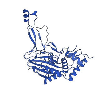 31185_7elm_O_v1-1
Structure of Csy-AcrIF24
