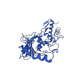 31185_7elm_Q_v1-1
Structure of Csy-AcrIF24