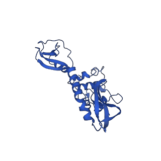 31185_7elm_U_v1-1
Structure of Csy-AcrIF24