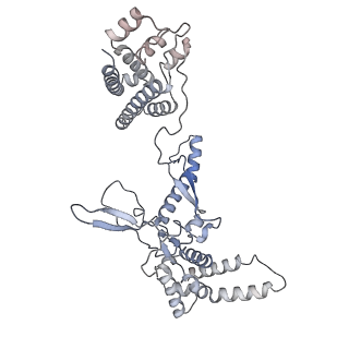 31186_7eln_A_v1-1
Structure of Csy-AcrIF24-dsDNA